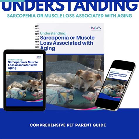 Muscle Loss in Dogs: A 10,000-Word Guide