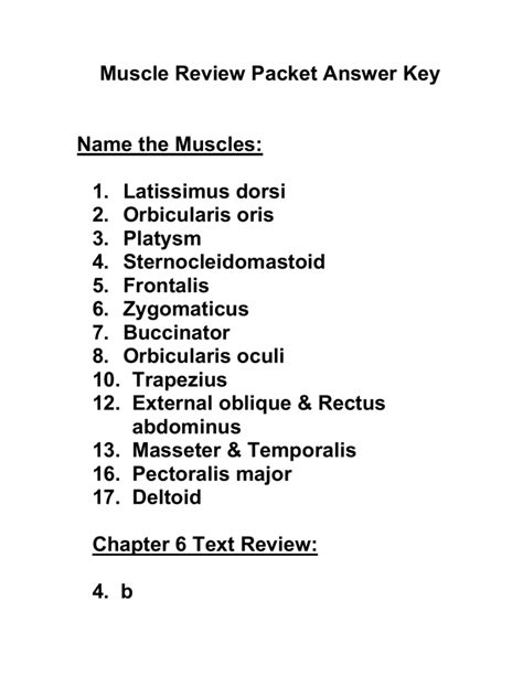 Muscle Packet Answers PDF