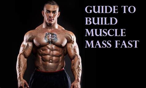 MuscleBearAaron: A Comprehensive Guide to Building Muscle Mass and Strength