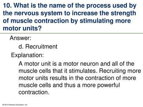 Muscular System Contraction Of Motor Units Answers Epub