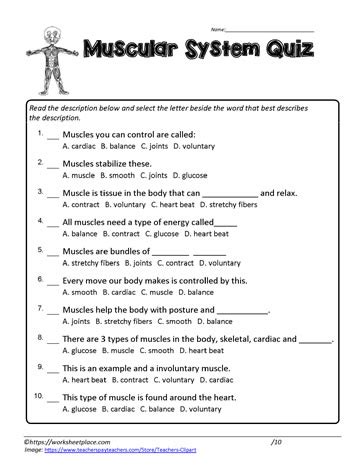Musculoskeletal System Quiz And Answers Doc