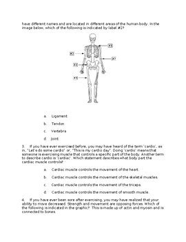 Musculoskeletal System Quiz And Answers Doc