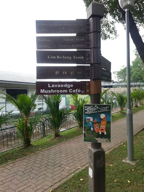 Mushroom Cafe MacRitchie: A Mycological Oasis in Singapore