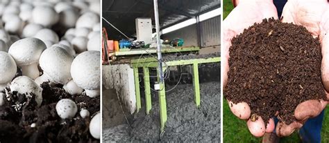 Mushroom Compost Machine: A 3-in-1 Solution for Environmentally Conscious Farms