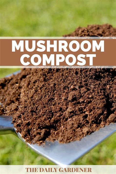 Mushroom Compost Machine: The Ultimate Guide