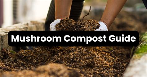 Mushroom Compost Machine: Your Guide to 500% Increased Yields