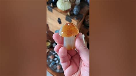 Mushroom Crystal: A Hidden Gem with 1000+ Uses