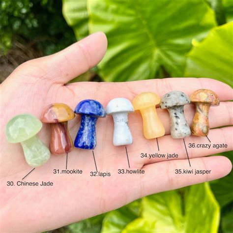 Mushroom Crystal: A Mystical Gemstone with Unbelievable Healing Power