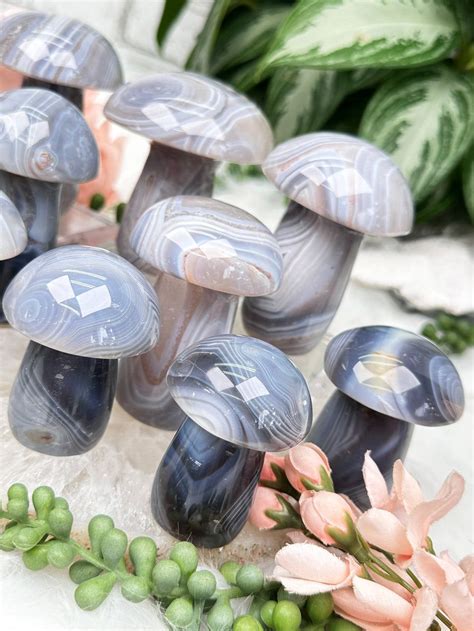 Mushroom Crystals: The Psychedelic Minerals of the Future