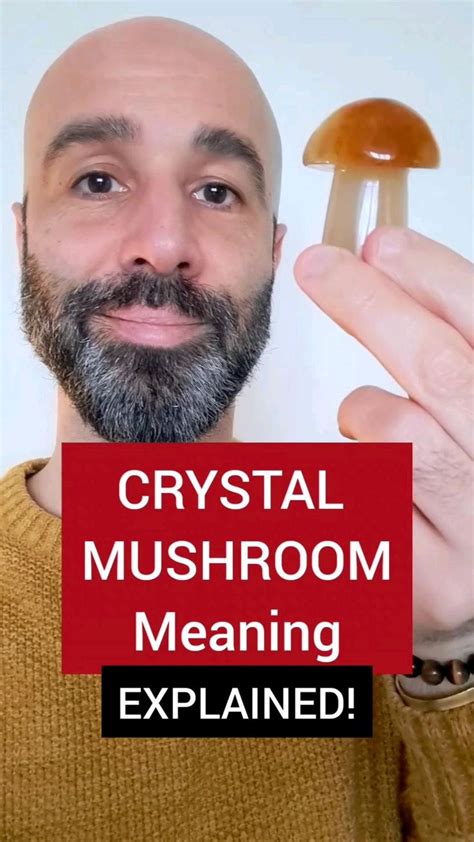 Mushroom Crystals: The Ultimate Guide with 33 Fascinating Uses