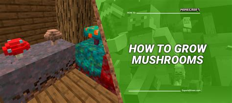 Mushroom Growing Minecraft: 101 Tips for Every Farmer