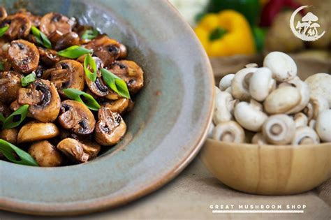 Mushroom Marvels: A Culinary and Medicinal Treasure Trove