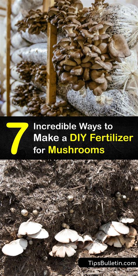 Mushrooms as Fertilizer: Unlocking the Nutrients for Bountiful Harvests