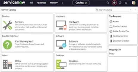 Mutliple Choice Radio Button Service Catalog Servicenow
