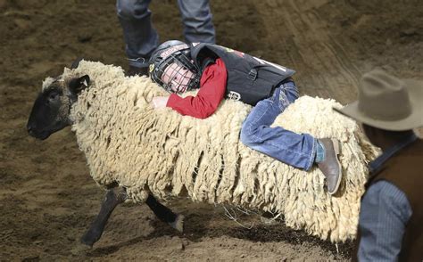 Mutton Busting: The Ultimate Guide to Finding Events Near You