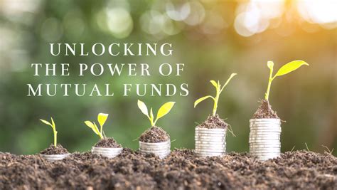 Mutual Fund Application: Your Gateway to Financial Growth