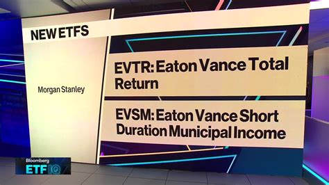 Mutual Funds in Energy: A Morgan Stanley Guide