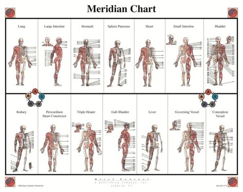 My Chart Meridian