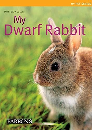 My Dwarf Rabbit (My Pet Series) Doc