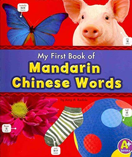 My First Book of Mandarin Chinese Words (Bilingual Picture Dictionaries) Doc