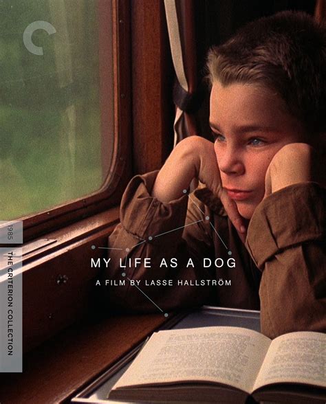 My Life as a Dog PDF