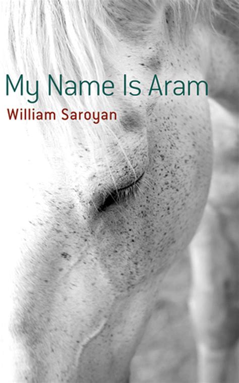 My Name Is Aram PDF