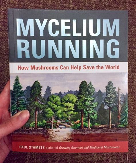 Mycelium Running How Mushrooms Can Help Save the World Doc