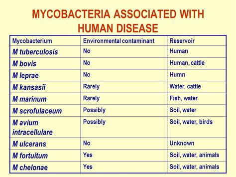 Mycobacteria and Human Disease Reader