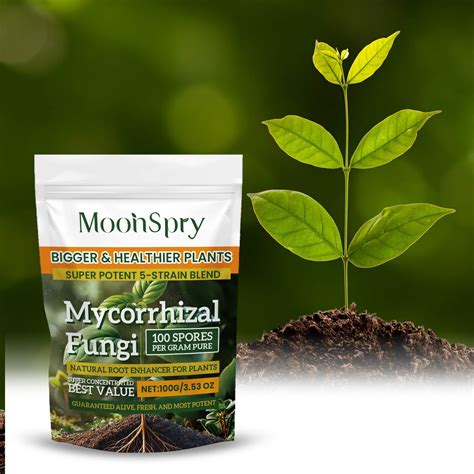 Mycorrhizal Fertilizer: The Revolutionary 5-in-1 Soil Enhancer