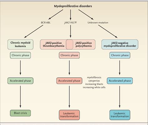 Myeloproliferative Disorders PDF