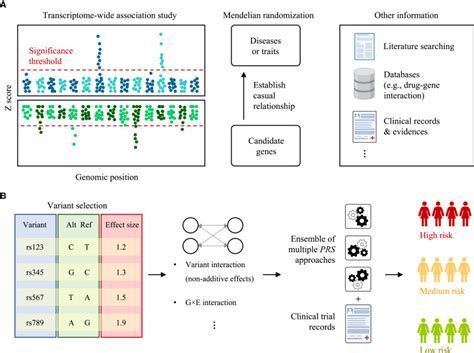 Myo Match: Decoding the Genetic Interface to Human Muscles