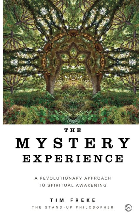 Mystery Experience A Revolutionary Approach to Spiritual Awakening Doc