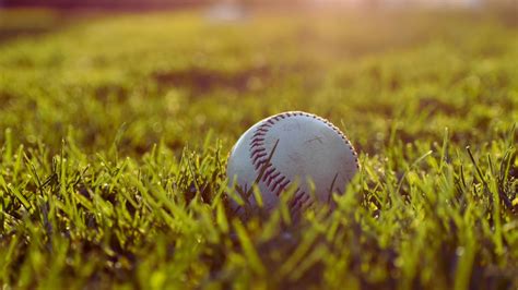 NAIA Baseball Schools: A Comprehensive Guide for Prospective Student-Athletes