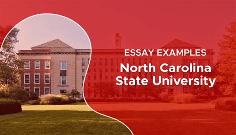 NC State Supplemental Essays: A Comprehensive Guide