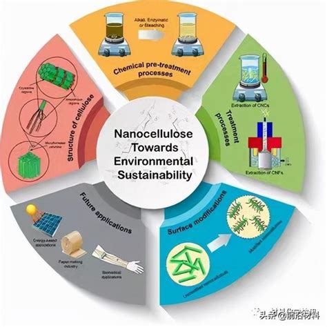 NECO：革新性材料與無窮潛力