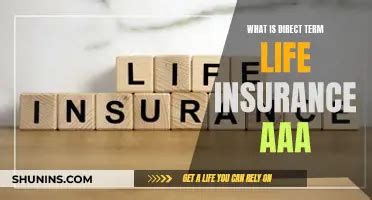 NFCU Life Insurance: What You Need to Know