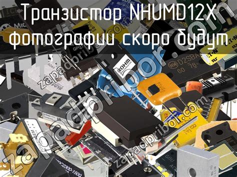 NHUMD12X