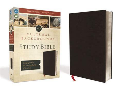 NIV Cultural Backgrounds Study Bible Bonded Leather Black Red Letter Edition Bringing to Life the Ancient World of Scripture Epub