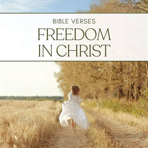 NIV Freedom in Christ Bible Epub