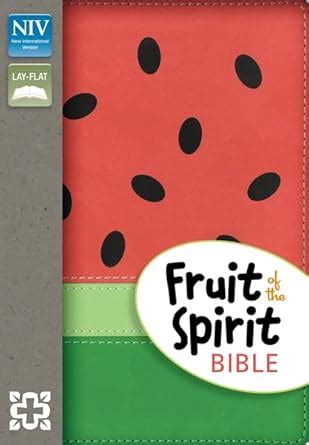 NIV Fruit of the Spirit Bible Imitation Leather Red Red Letter Reader