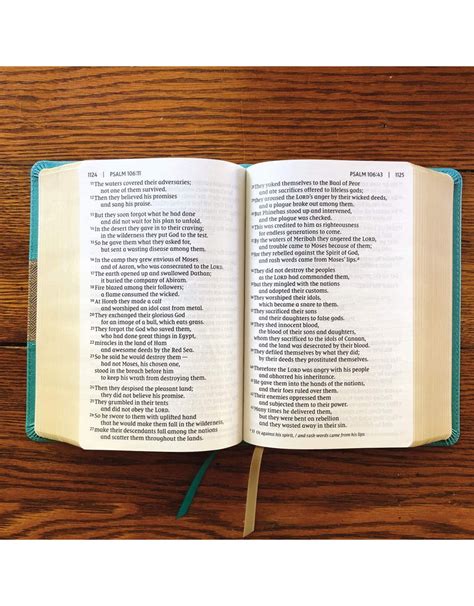 NIV Giant Print Compact Bible Reader