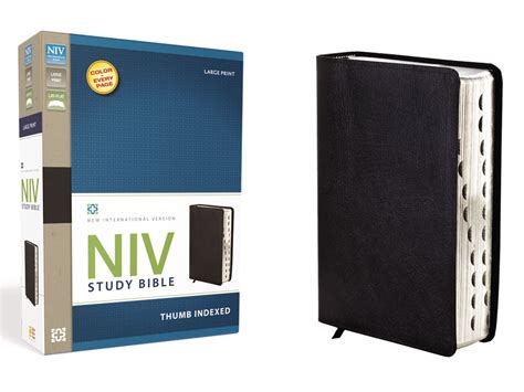 NIV Life Application Study Bible Large Print Bonded Leather Black Indexed Reader