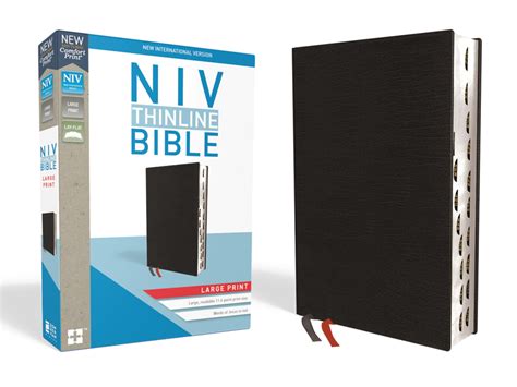 NIV Reference Bible Large Print Leather-Look Black Red Letter Edition Reader