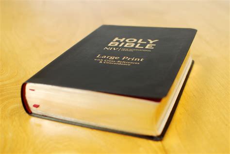 NIV Single-Column Bible Large Print Reader