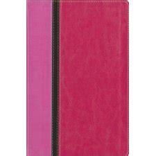 NIV The Message Parallel Study Bible Personal Size Imitation Leather Pink Updated Numbered Edition PDF