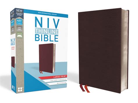 NIV Thinline Zippered Collection Bible Large Print Bonded Leather Burgundy Red Letter Edition PDF