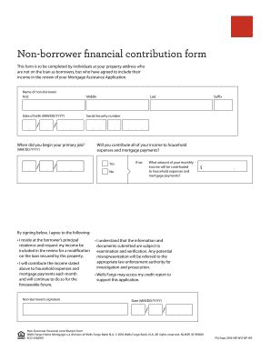 NON BORROWER CONTRIBUTION FORM WELLS FARGO Ebook Doc