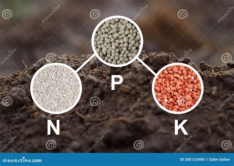 NPK: Essential Plant Nutrients