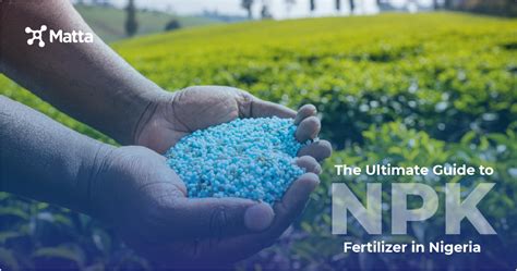 NPK Fertilizer Machine: Your Ultimate Guide to a Booming Industry