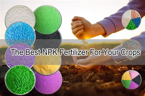 NPK Fertilizer Machinery: Your Guide to Increased Crop Yields